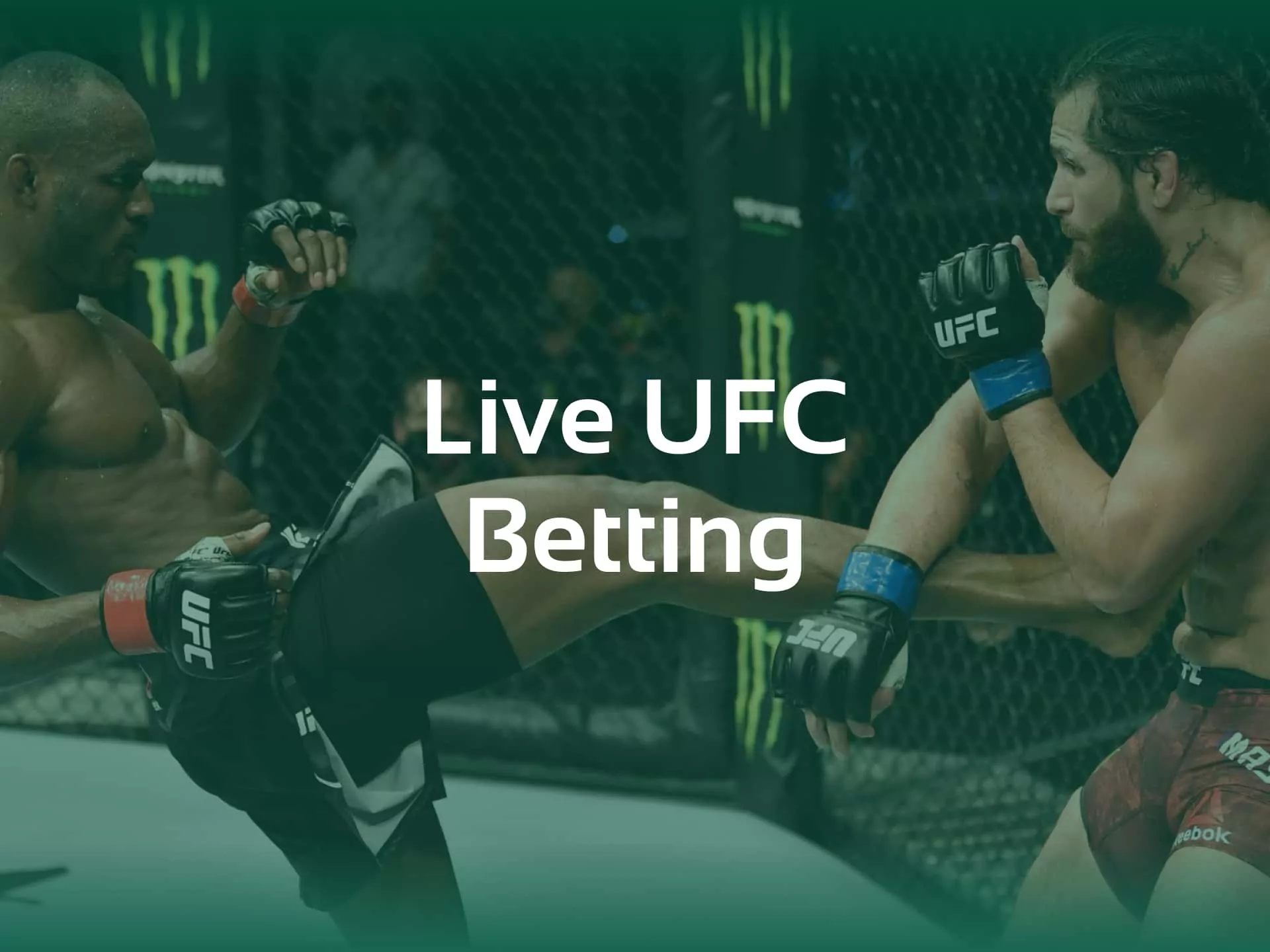 Live UFC betting is an important feature for those who intend to earn plenty of money.