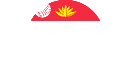 Online Sports Betting BD
