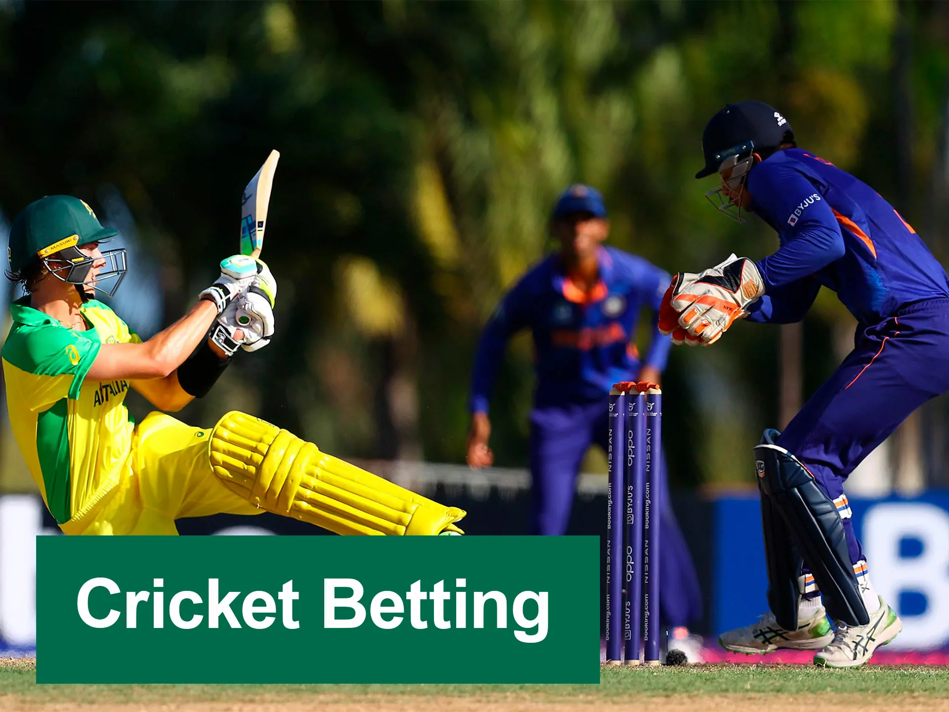 Bet on IPL matches and your favorite cicket teams at Melbet.