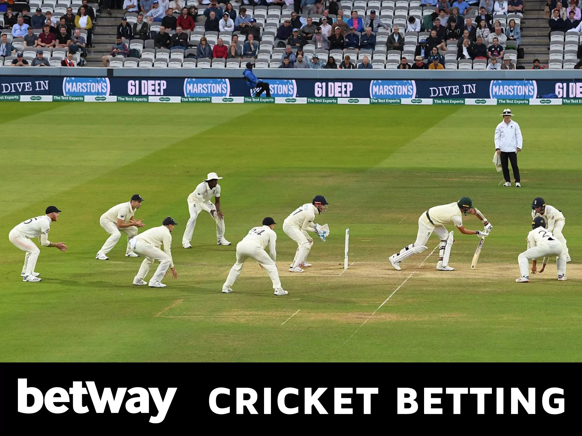 Cricket betting on Betway.