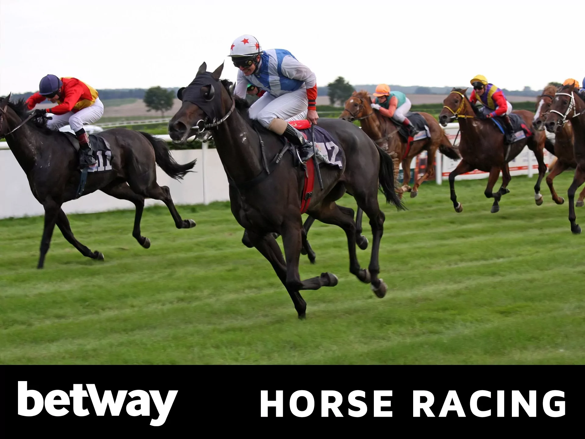 Horse racing betting on Betway.