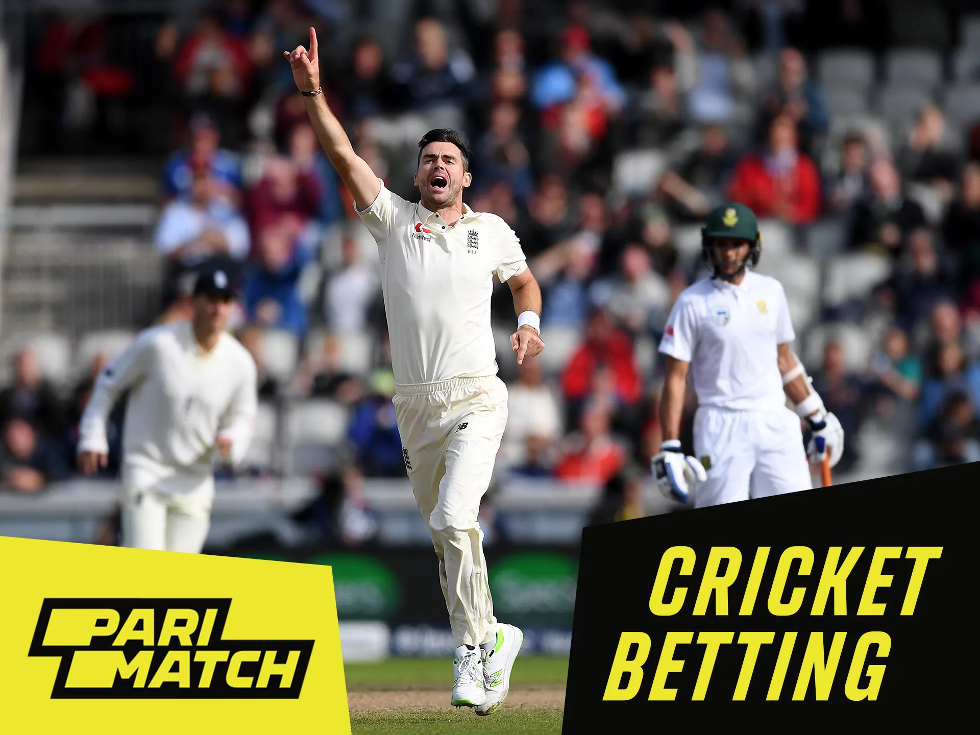 Cricket betting at Parimatch online betting site.