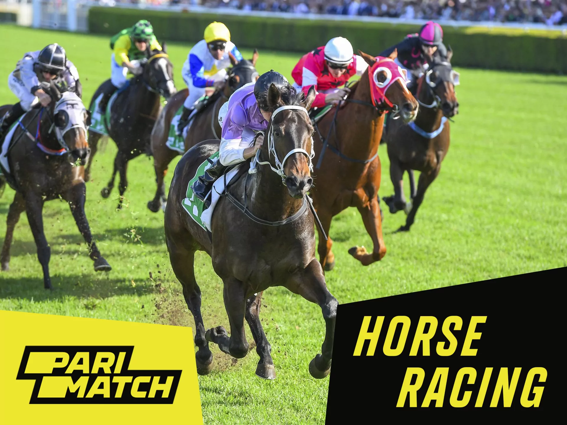 Horse racing betting on Parimatch.