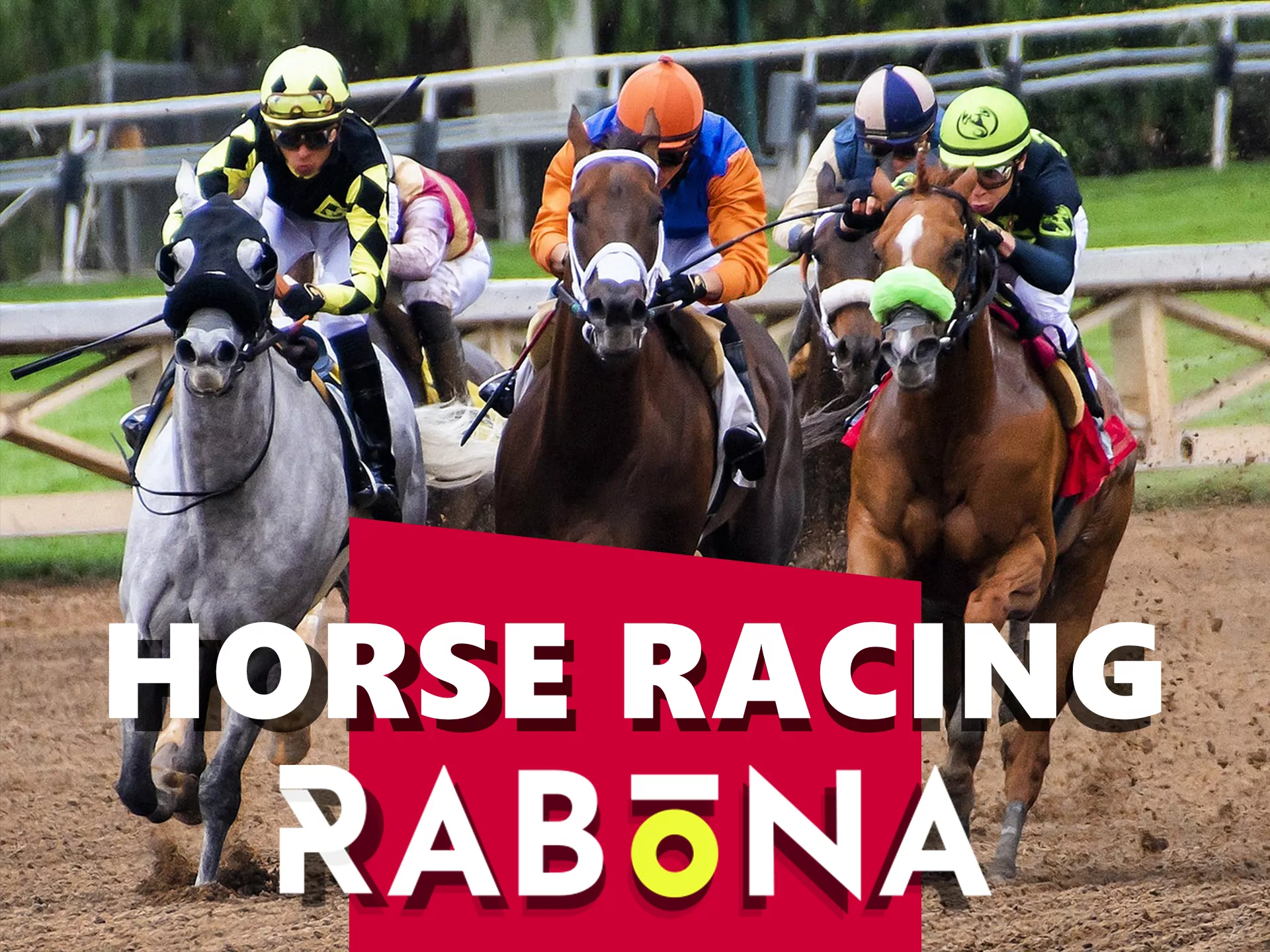Horse racing betting on Rabona.