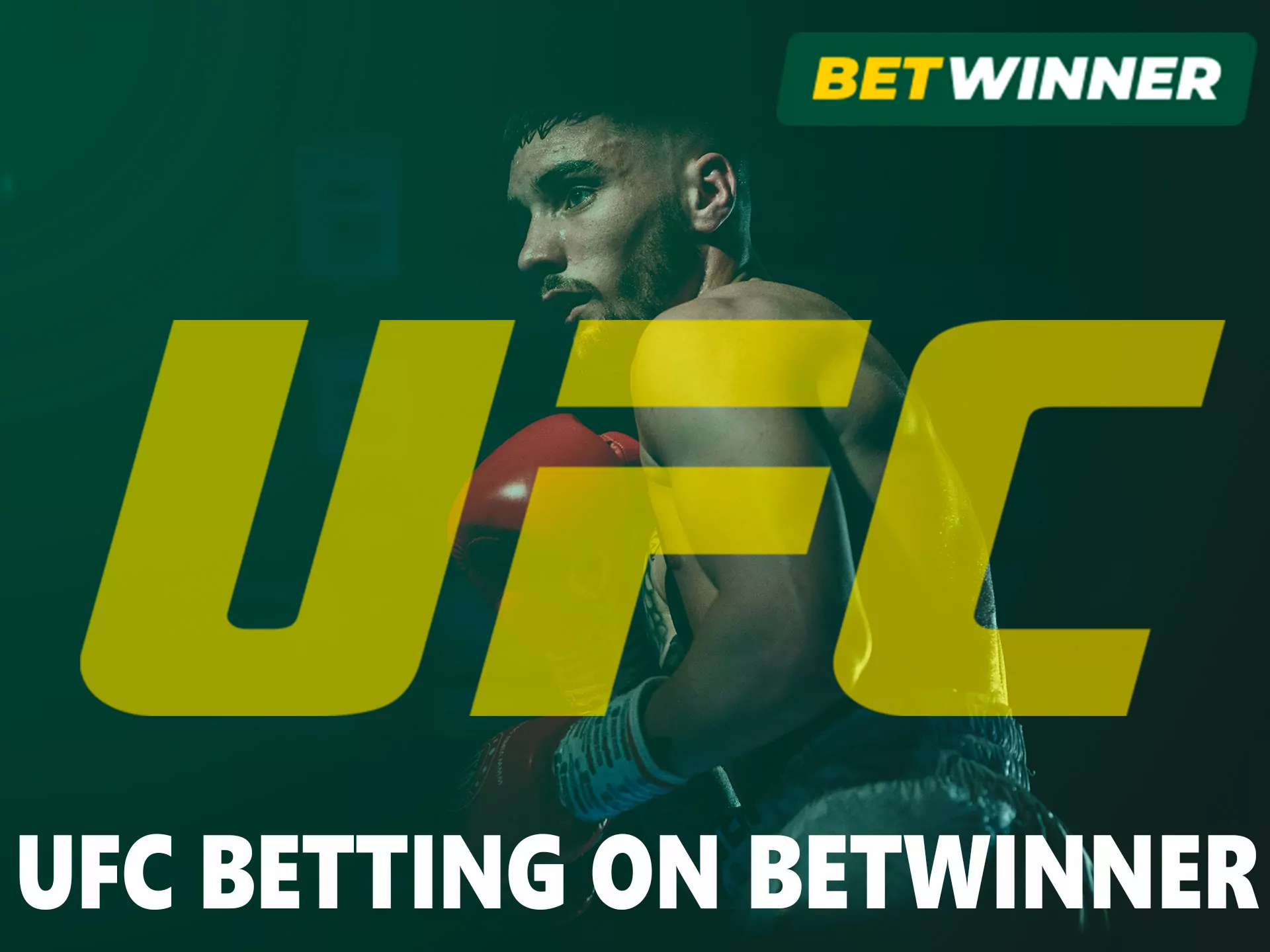 Hot bets on live fights, any hit can lead to the end of the match.