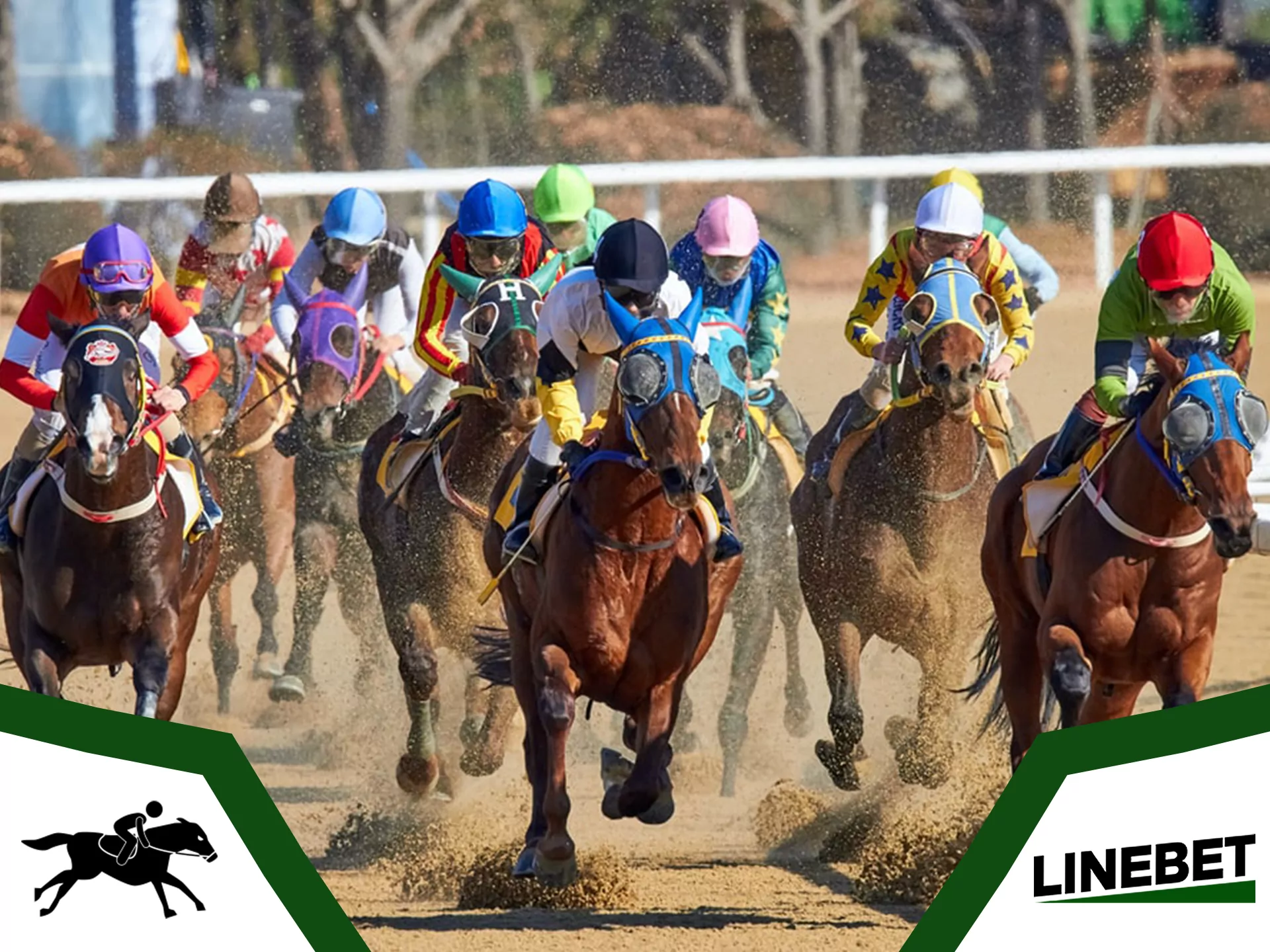 Bet on best horse and win best prizes at Linebet bookie.