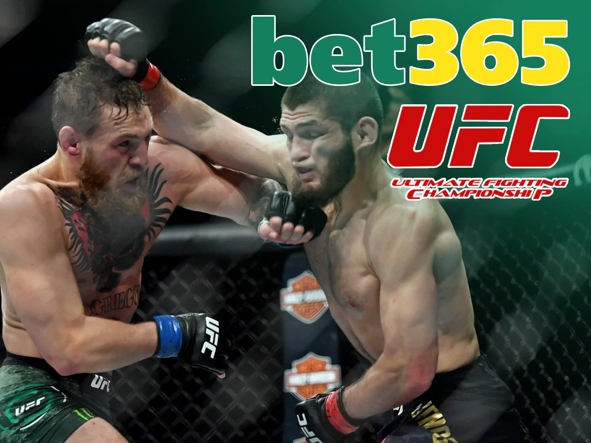 Watch how best fighters win money for you with Bet365.