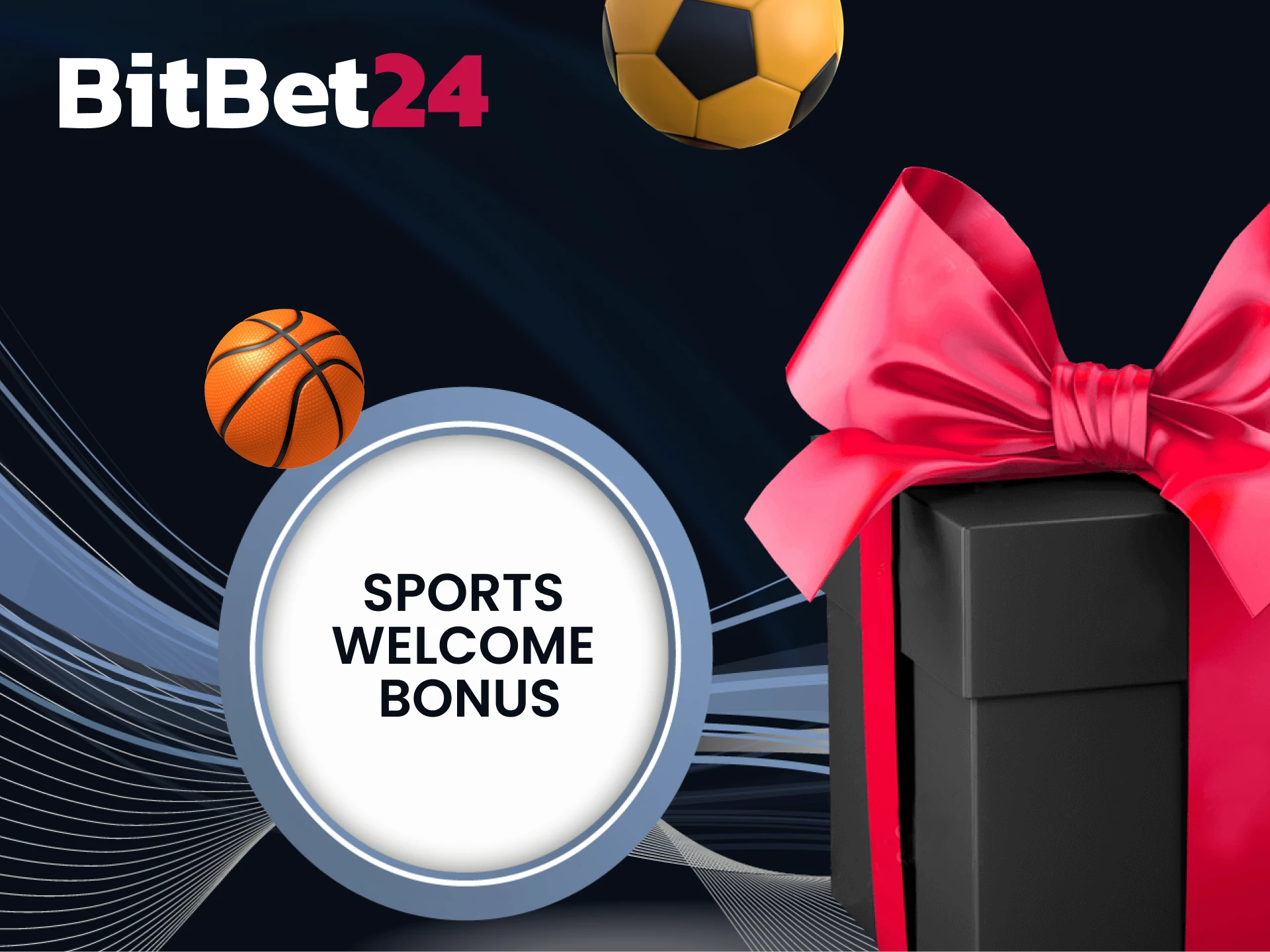 With BitBet24 get the best bonus for sports betting.