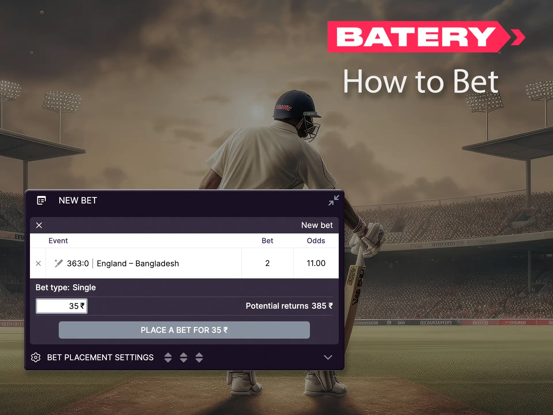 Carefully study the instructions on how to make the bet you want in the match.
