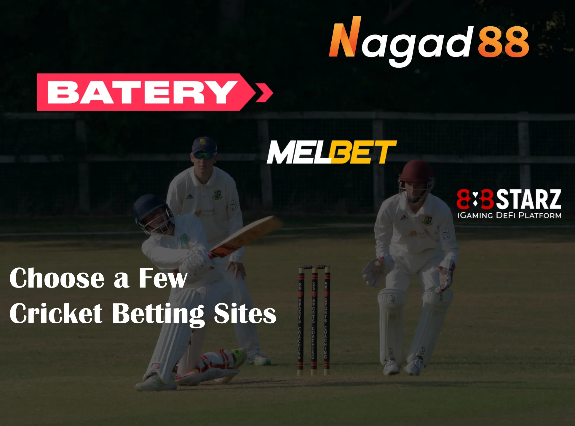 Compare the sites in our review and choose your favourite for cricket betting.