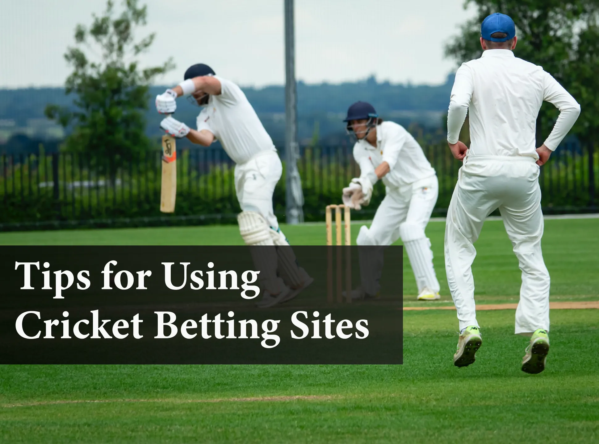 Read these tips to increase your chances of winning in cricket betting.